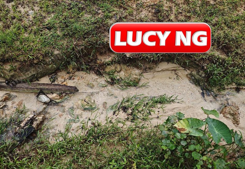 11.62 acres | Agricultural land | Palm oil Plantation | Selama | Perak  t