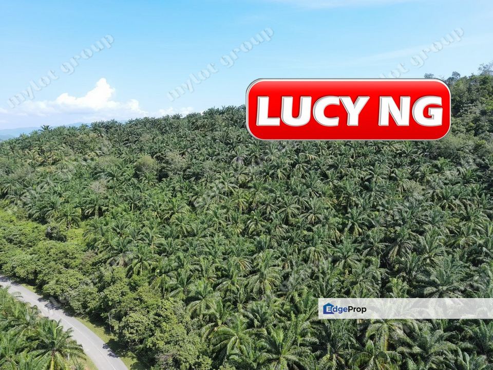 86.68 acres | Agricultural Land | Beside Main Road | Tawar | Baling | Kedah b, Kedah, Baling