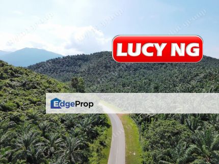 86.68 acres | Agricultural Land | Beside Main Road | Tawar | Baling | Kedah b, Kedah, Baling