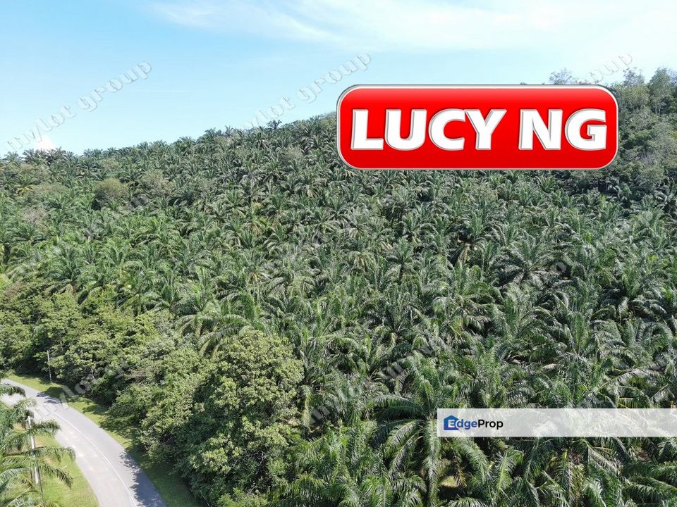 86.68 acres | Agricultural Land | Beside Main Road | Tawar | Baling | Kedah b, Kedah, Baling