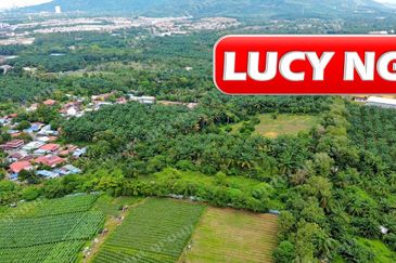 Kampung Baru Macang Bubok