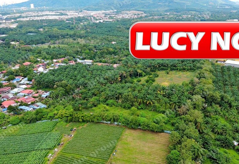 Kampung Baru Macang Bubok