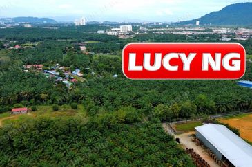 Kampung Baru Macang Bubok