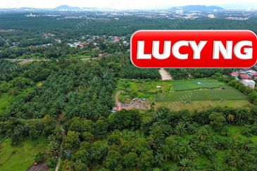 Kampung Baru Macang Bubok