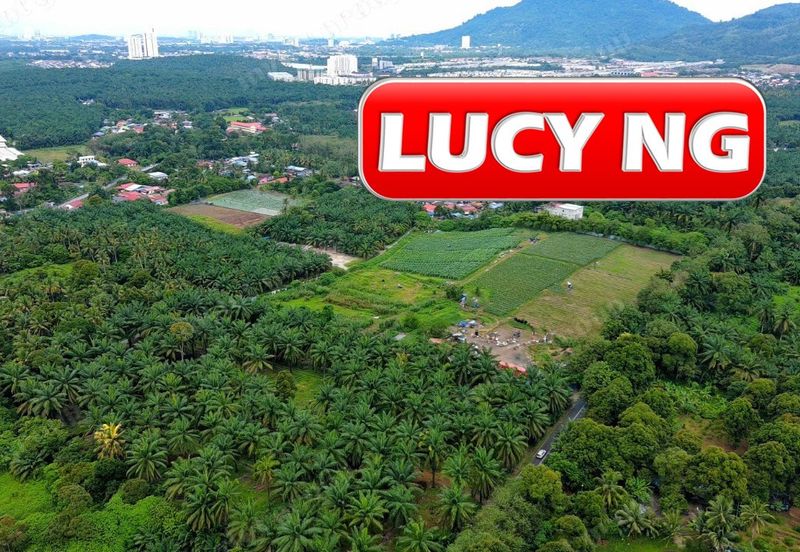 Kampung Baru Macang Bubok