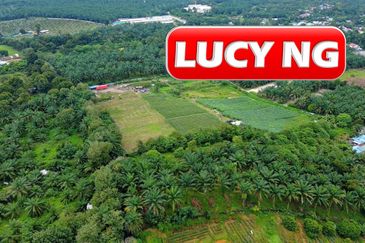 Kampung Baru Macang Bubok