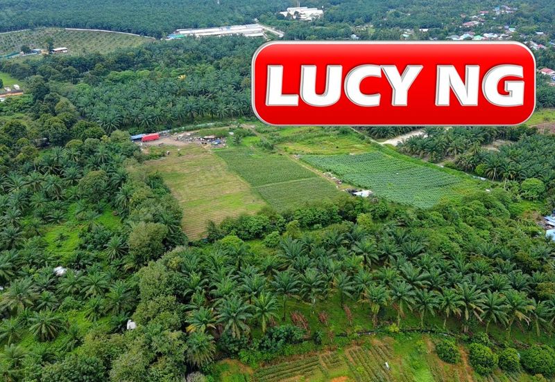 Kampung Baru Macang Bubok