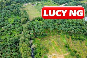 Kampung Baru Macang Bubok