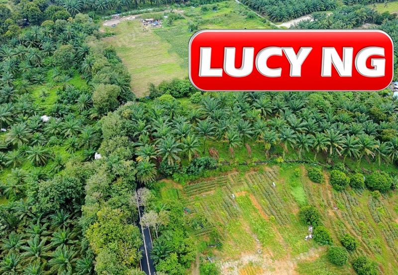 Kampung Baru Macang Bubok