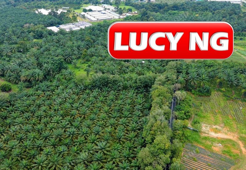 Kampung Baru Macang Bubok