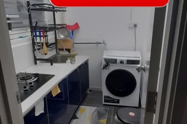 Eco Bloom @ Eco Meadows