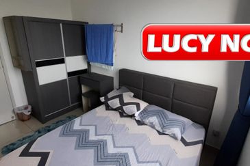 Eco Bloom @ Eco Meadows