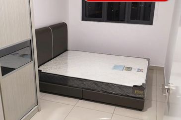 Eco Bloom @ Eco Meadows