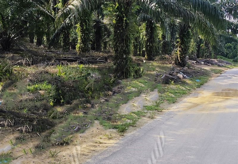 KAMPUNG BARU JUNJONG