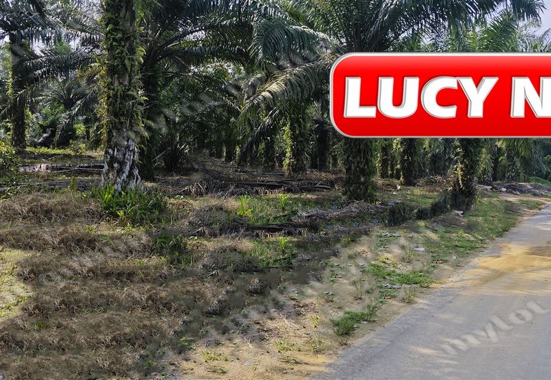 KAMPUNG BARU JUNJONG