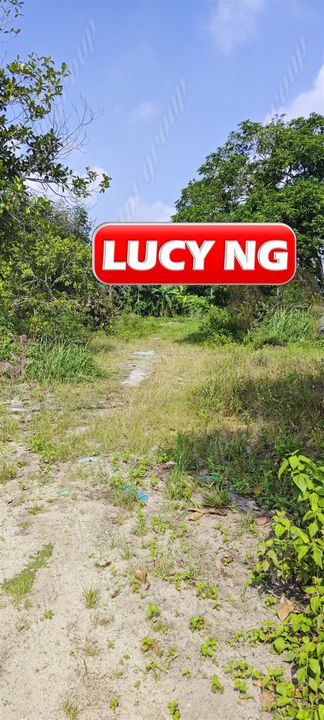 28750 sf | Flat Land | Residential Land | Junjong | Kedah t, Kedah, Kulim