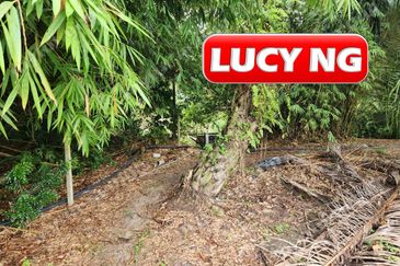 3.7 acres | 3 Fish Pond  | Agricultural Land | Beside River |  Nibong Tebal | Penang b