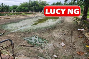 3.7 acres | 3 Fish Pond  | Agricultural Land | Beside River |  Nibong Tebal | Penang b