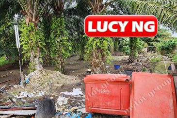 3.7 acres | 3 Fish Pond  | Agricultural Land | Beside River |  Nibong Tebal | Penang b