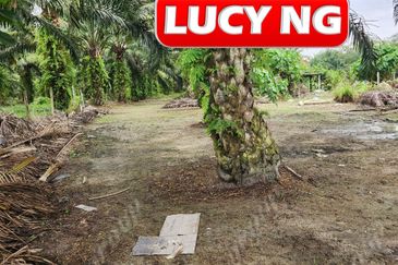 3.7 acres | 3 Fish Pond  | Agricultural Land | Beside River |  Nibong Tebal | Penang b