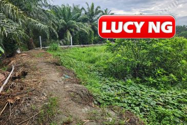 3.7 acres | 3 Fish Pond  | Agricultural Land | Beside River |  Nibong Tebal | Penang b