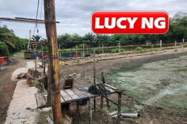 3.7 acres | 3 Fish Pond  | Agricultural Land | Beside River |  Nibong Tebal | Penang b