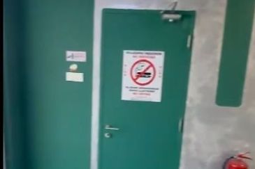 Eco Bloom @ Eco Meadows