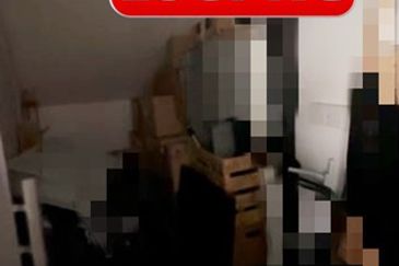 Eco Bloom @ Eco Meadows