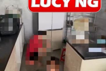 Eco Bloom @ Eco Meadows