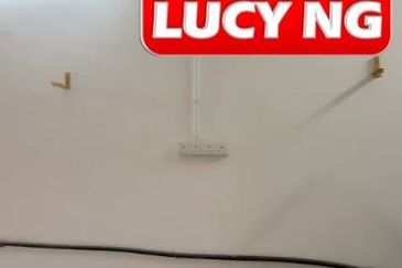 Eco Bloom @ Eco Meadows