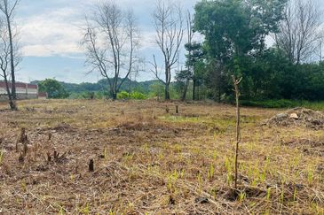 Puncak Pinggiran Putra