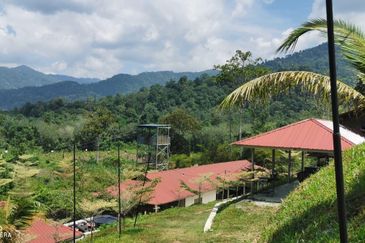 Manong Adventure Park