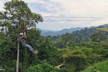 Manong Adventure Park