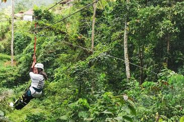 Manong Adventure Park