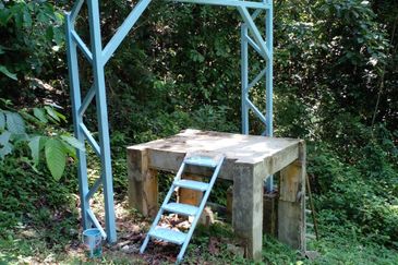 Manong Adventure Park