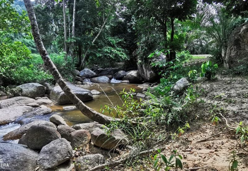 Manong Adventure Park