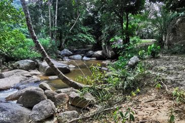 Manong Adventure Park