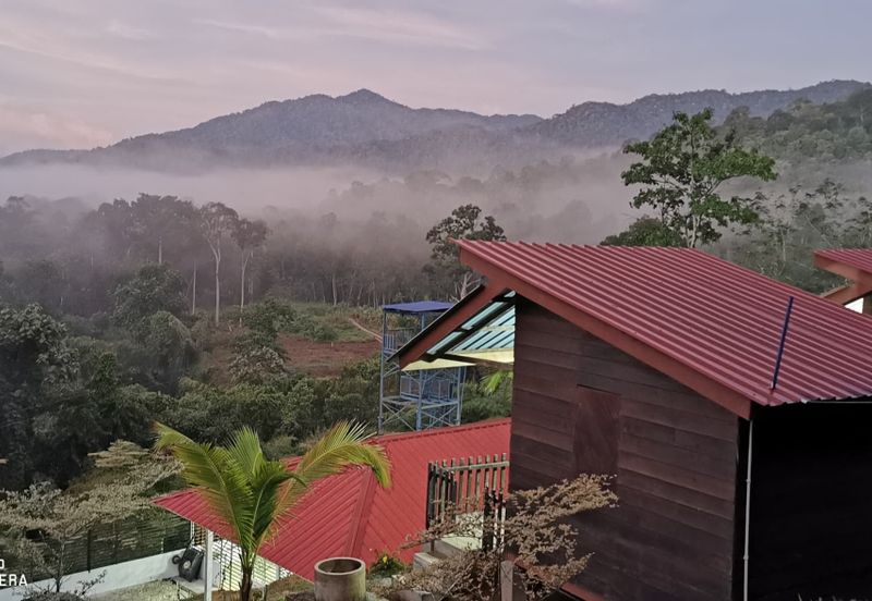 Manong Adventure Park