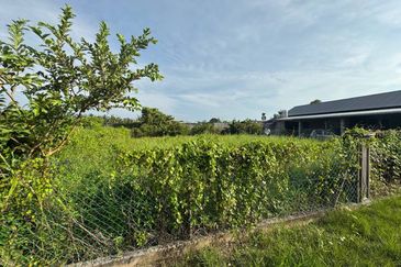 TAMAN BANTING BARU Tanah Pertanian Kg Cantik Kuala Langat Untuk DiJual