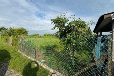 TAMAN BANTING BARU Tanah Pertanian Kg Cantik Kuala Langat Untuk DiJual