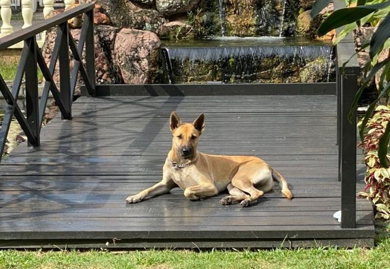 Overseas Union Garden