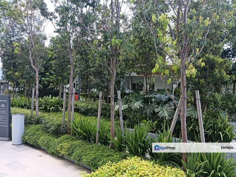 Luxury living Surrounded by Nature, Selangor, Kota Damansara