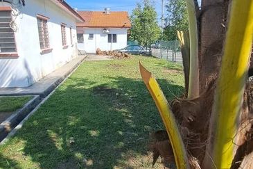 TAMAN TERATAI NILAI 7