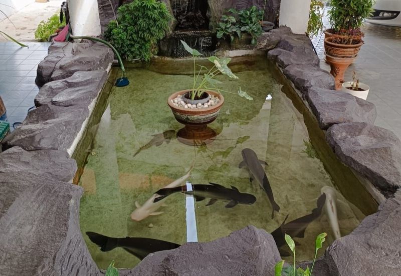 Bungalow Bamboo River Villa, Sungai Buloh, Selangor