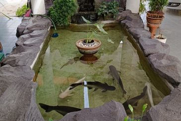 Bungalow Bamboo River Villa, Sungai Buloh, Selangor