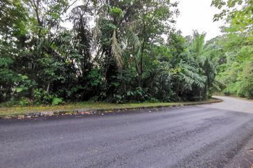 Bukit Gasing, Seksyen 5