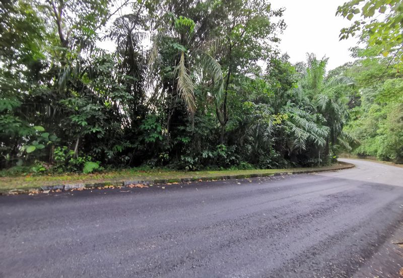 Bukit Gasing, Seksyen 5