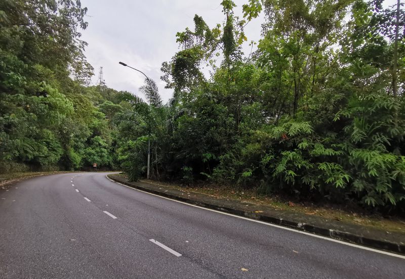 Bukit Gasing, Seksyen 5