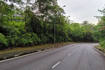 Bukit Gasing, Seksyen 5