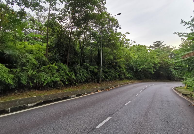 Bukit Gasing, Seksyen 5